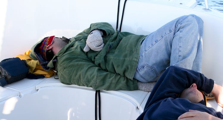 Featured image for “Seasickness Stinks!"