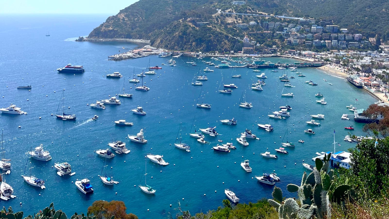 Featured image for “From Anchor to Adventure: Why Sailing is the Perfect Way to Travel"