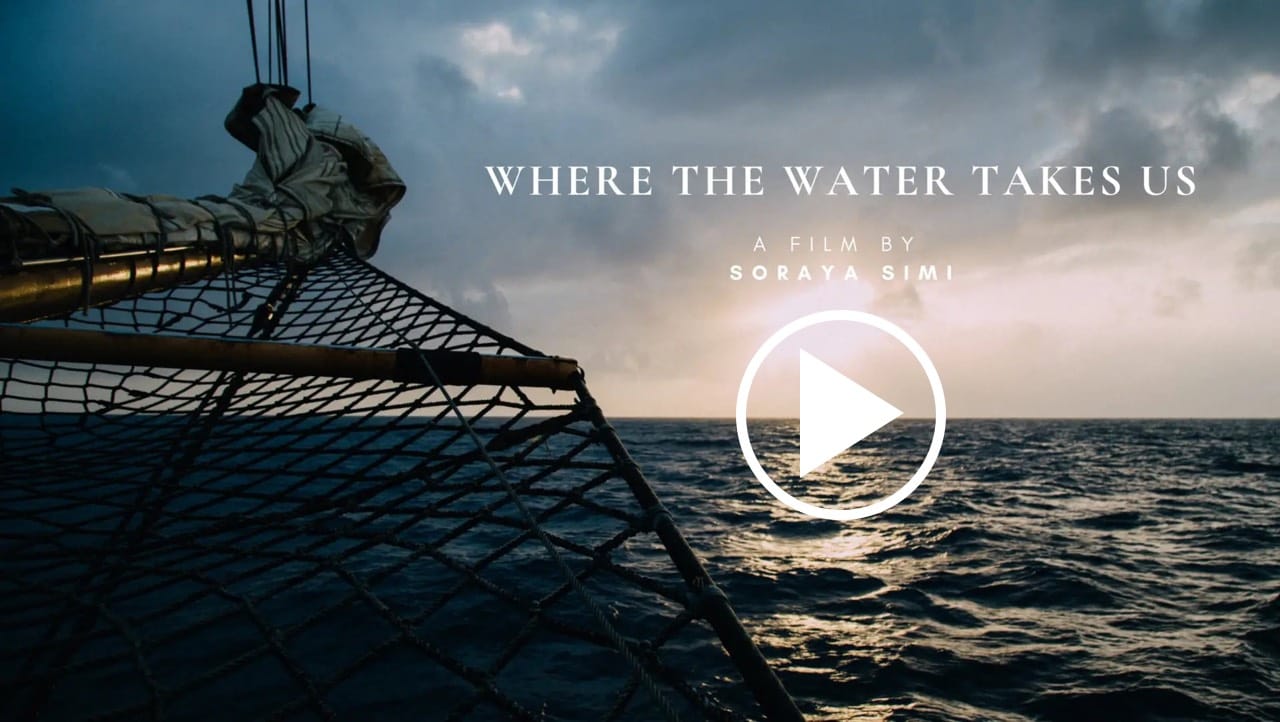 WHERE THE WATER TAKES US