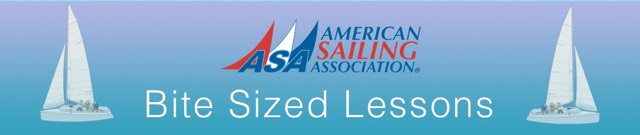 ASA's Bite Sized Lessons