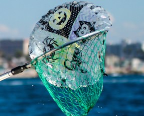 KEEP THE OCEANS CLEAN