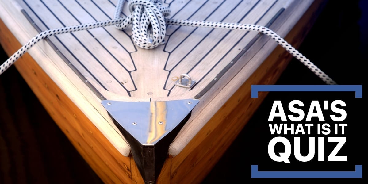 Featured image for “What Is It Quiz"