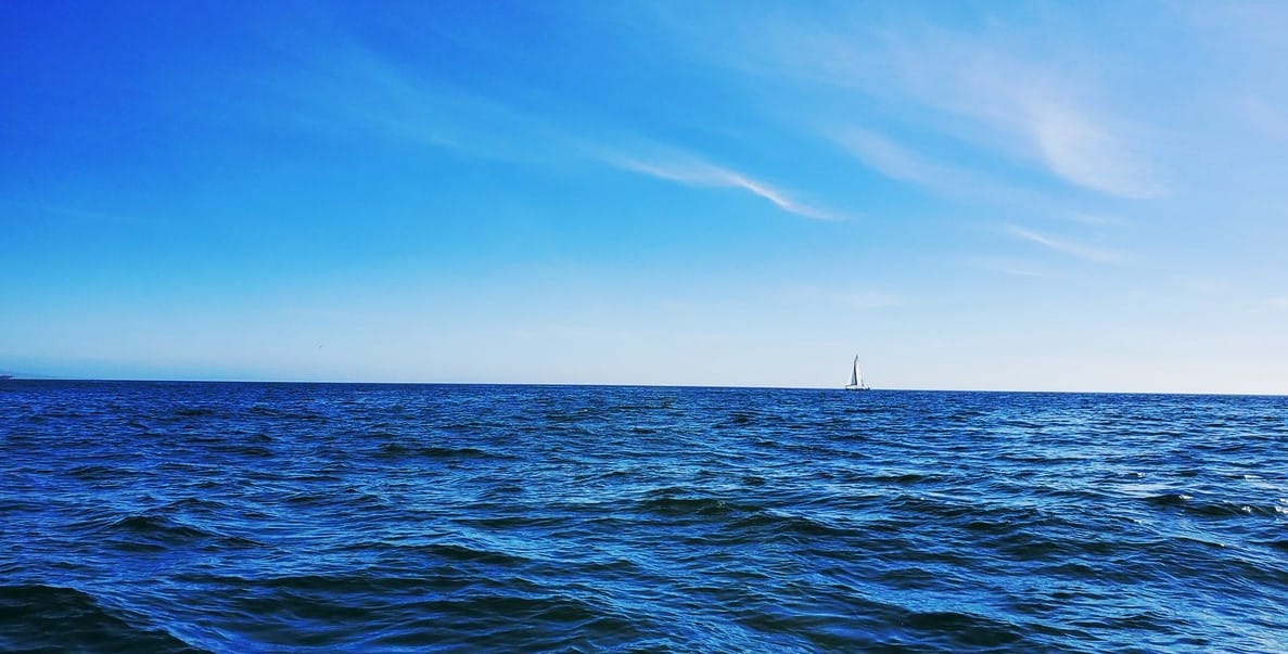 Featured image for “World Ocean Day"