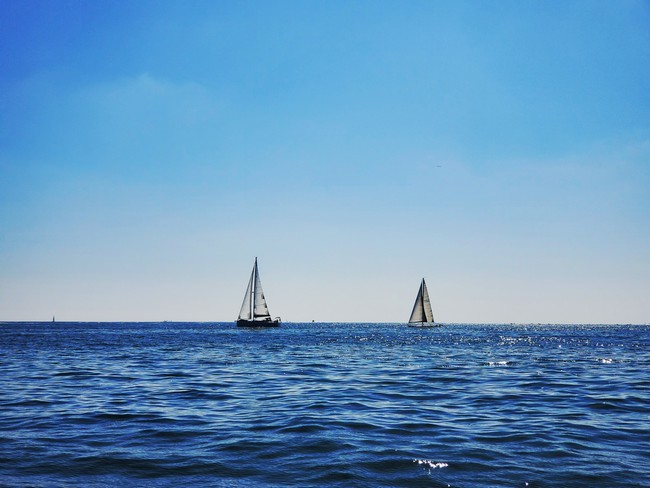 Featured image for “8 Ways To Foster Environmental Awareness"