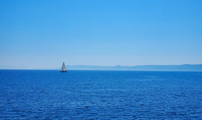 Featured image for “World Ocean Day: Ocean Facts You Need to Know"