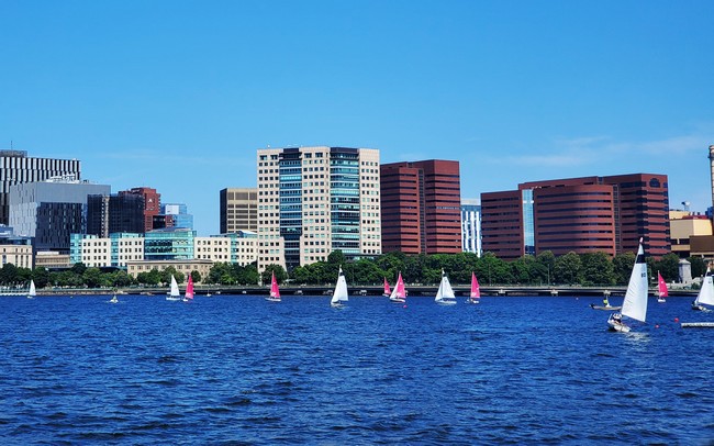 Featured image for “American Sailing Quick Guide to Navigation Rules"