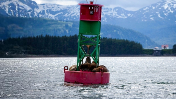 Online Class-2024-11-Hunt-ATONS-Featured-1600×900