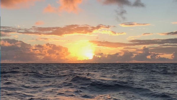 Online Class-2024-12-Batchelor-Marine Weather Planning-Featured-1600×900