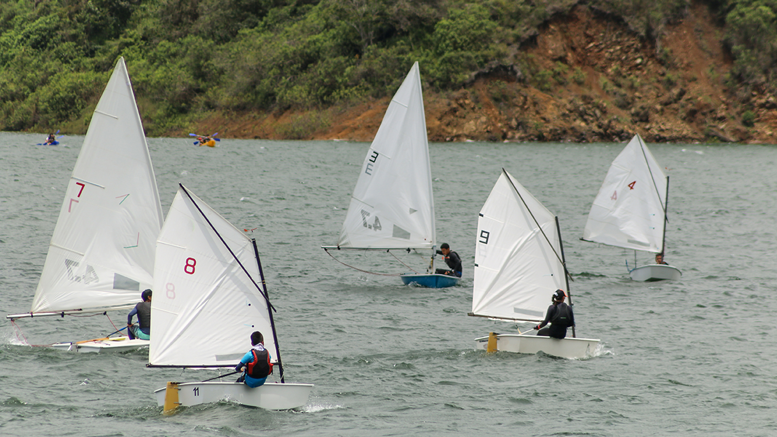 Featured image for “Sink or Sail?"