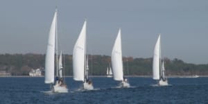 Navy Patuxent Sailing Club, MD - ASA Certified Sailing School